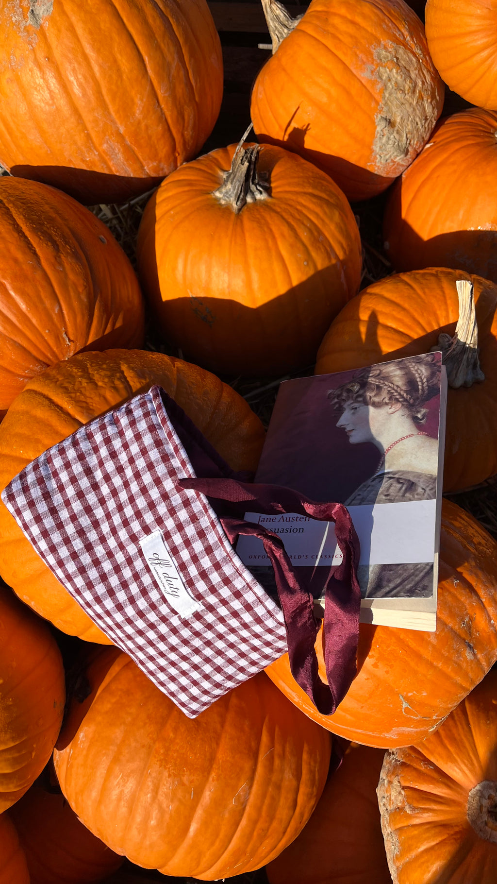 Plum gingham book sleeve with plum satin inside fabric