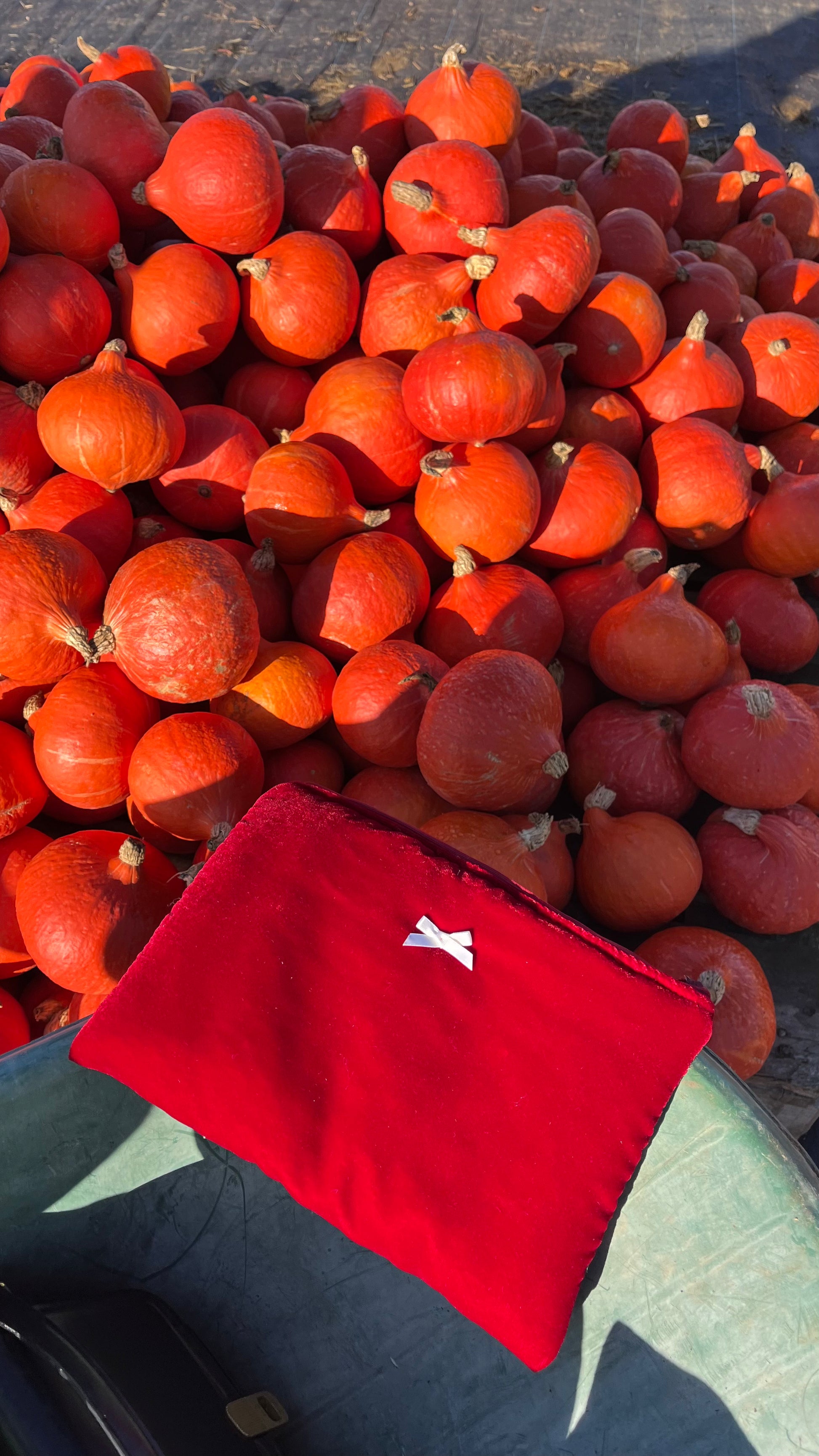 Red velvet flat pouch with white bow
