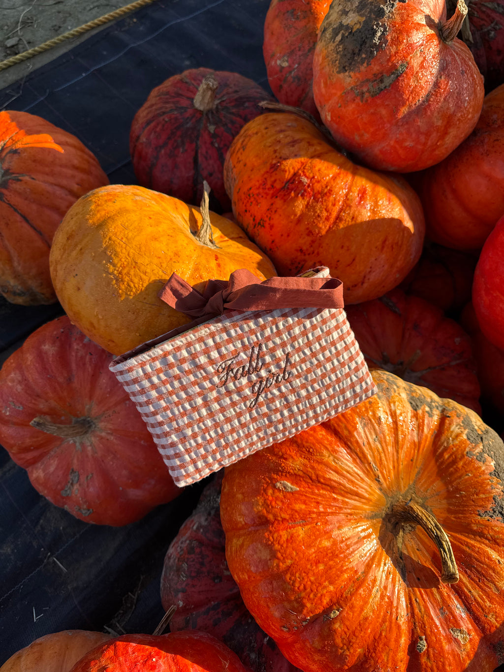"Fall girl" terracotta gingham book sleeve