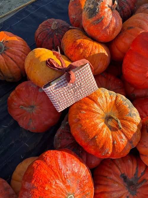"Fall girl" terracotta gingham book sleeve