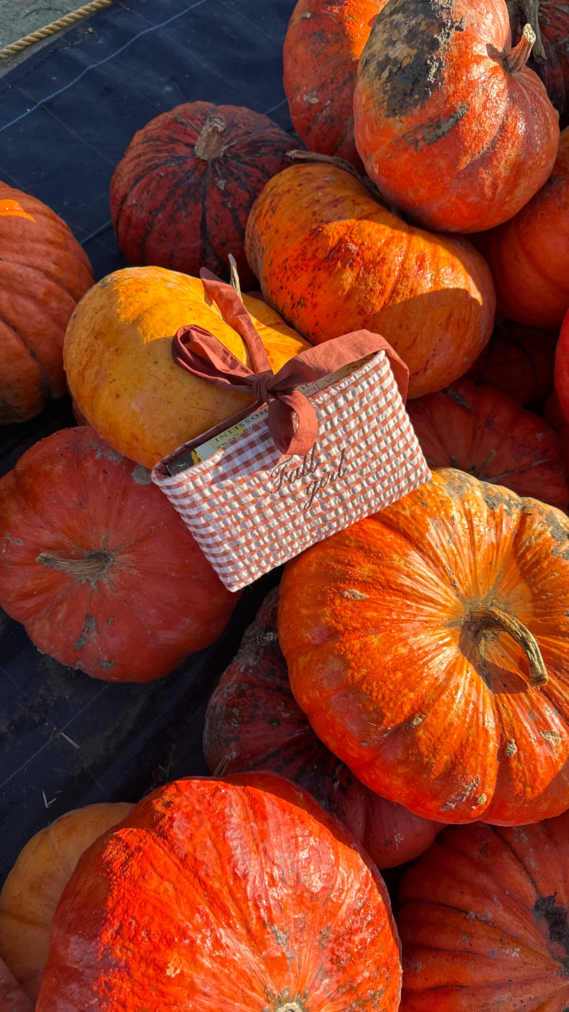 "Fall girl" terracotta gingham book sleeve