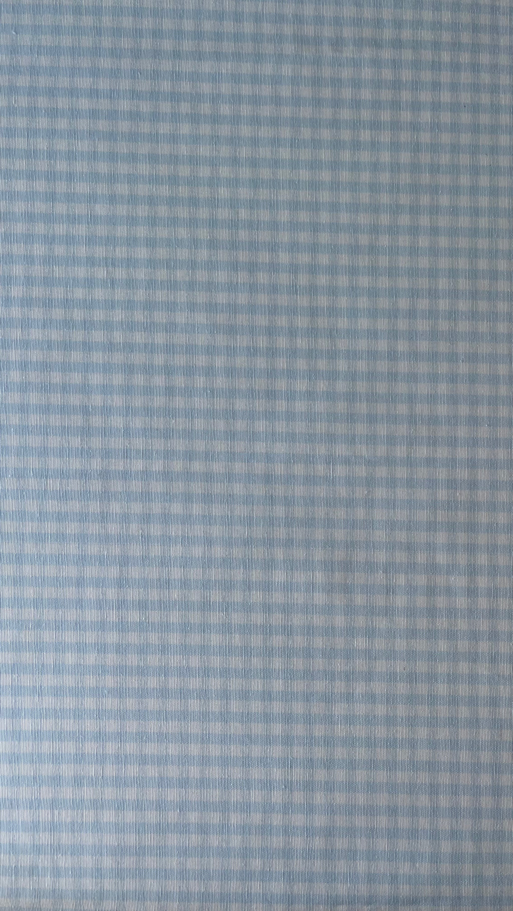 Blue gingham
