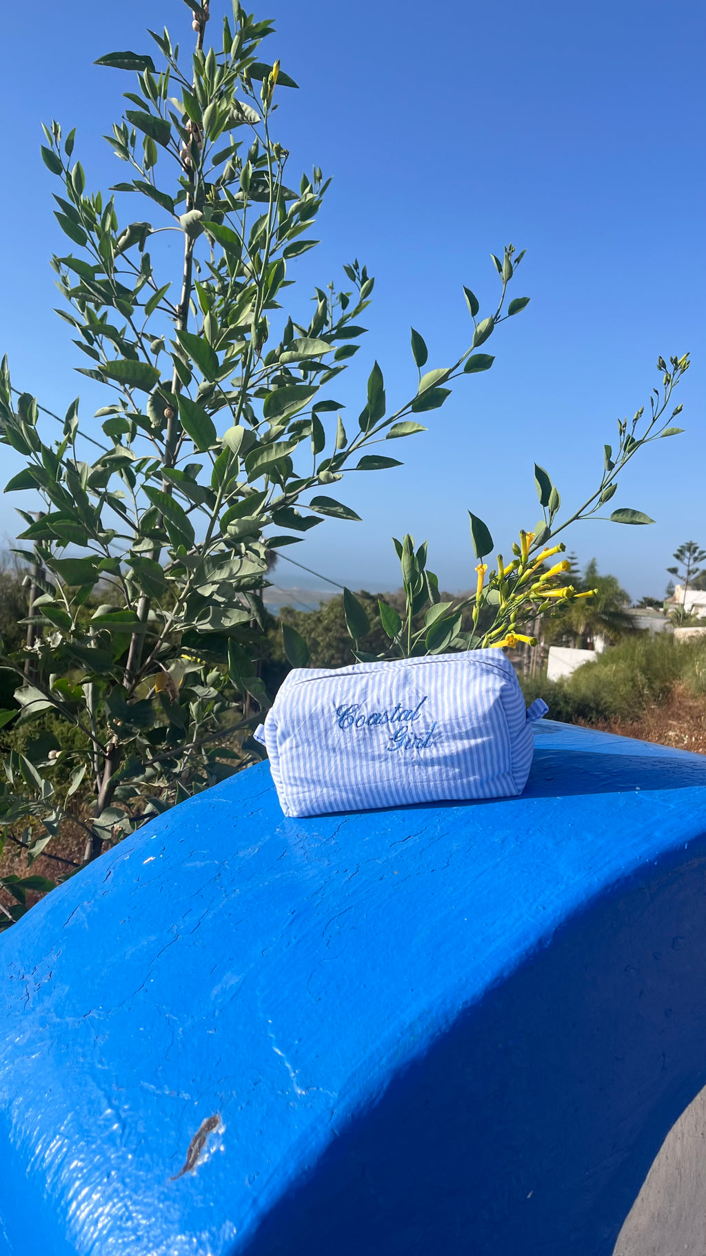 "Coastal Girl" blue striped pouch