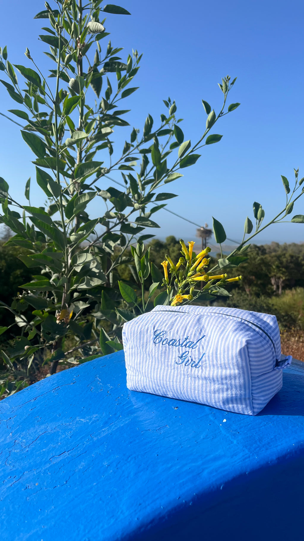 "Coastal Girl" blue striped pouch