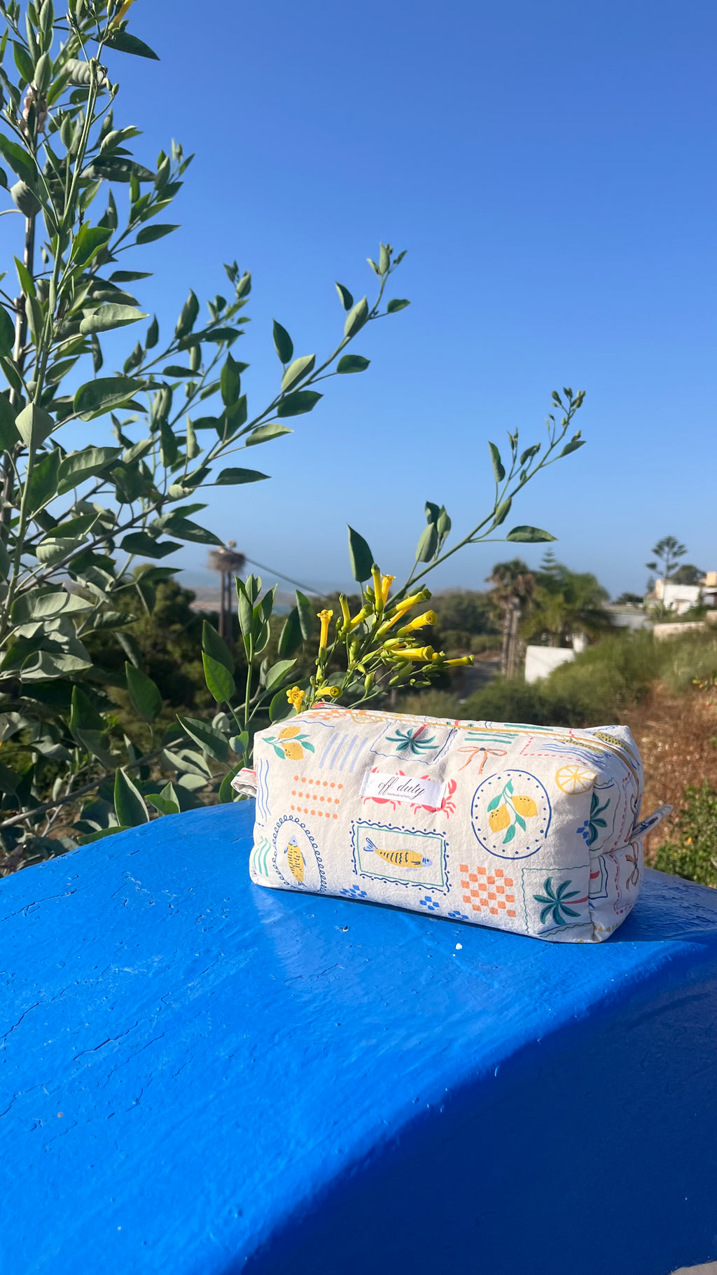 The Capri pouch