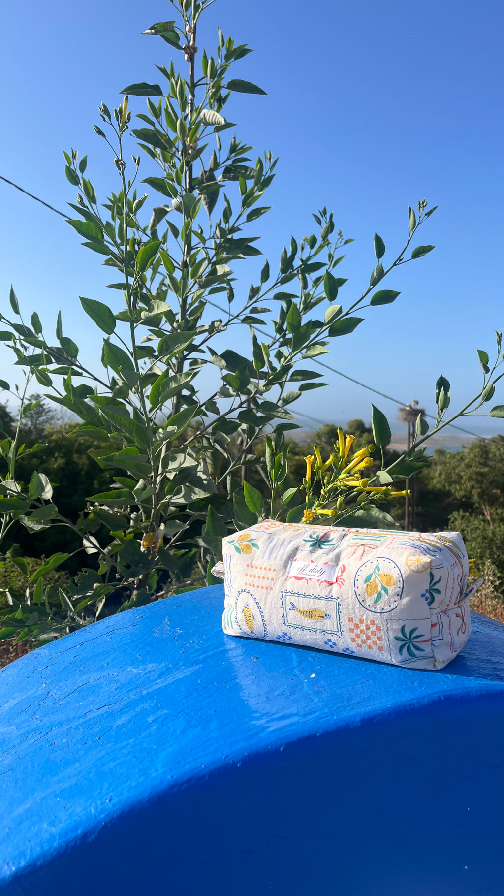 The Capri pouch