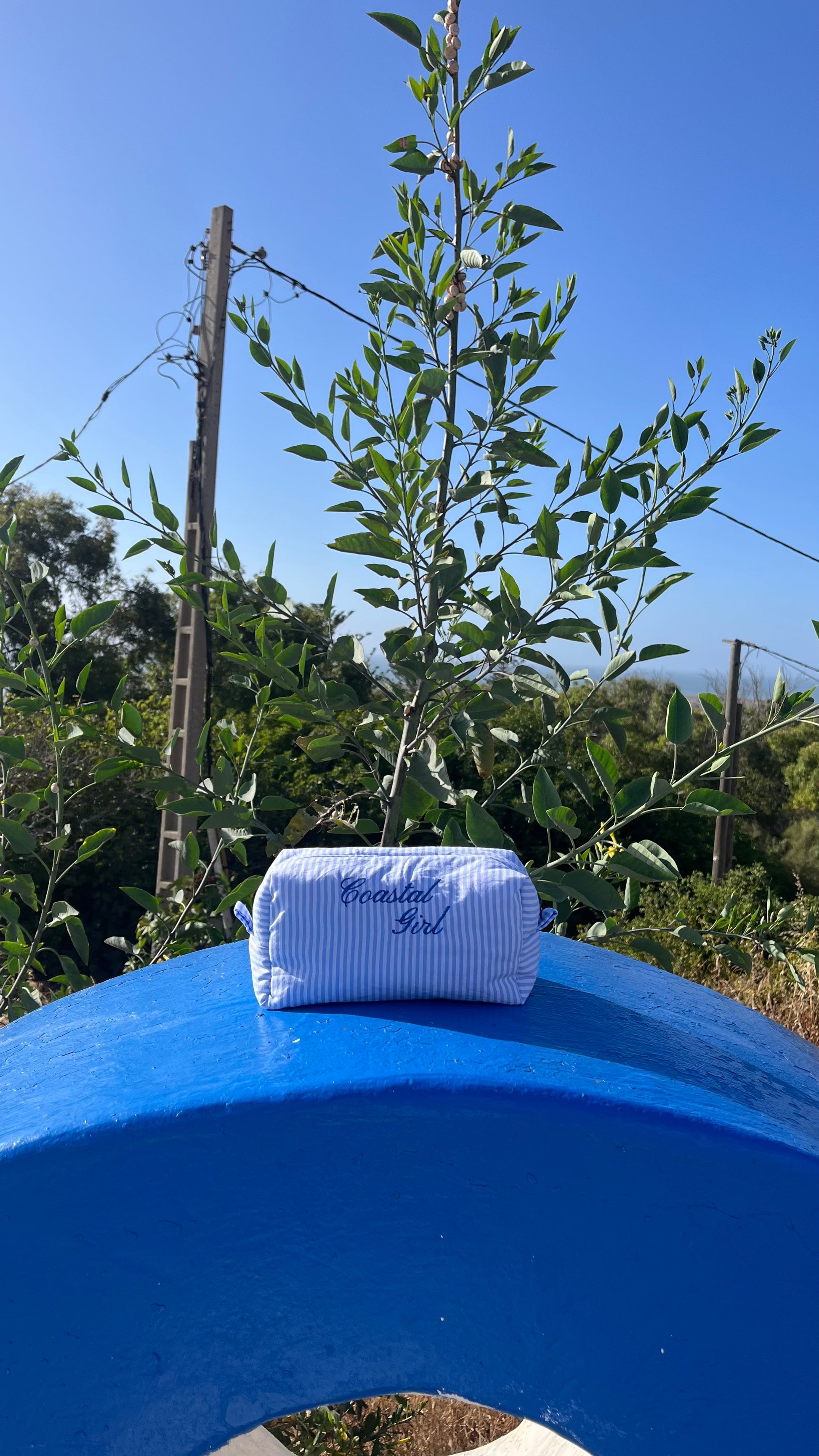 "Coastal Girl" blue striped pouch