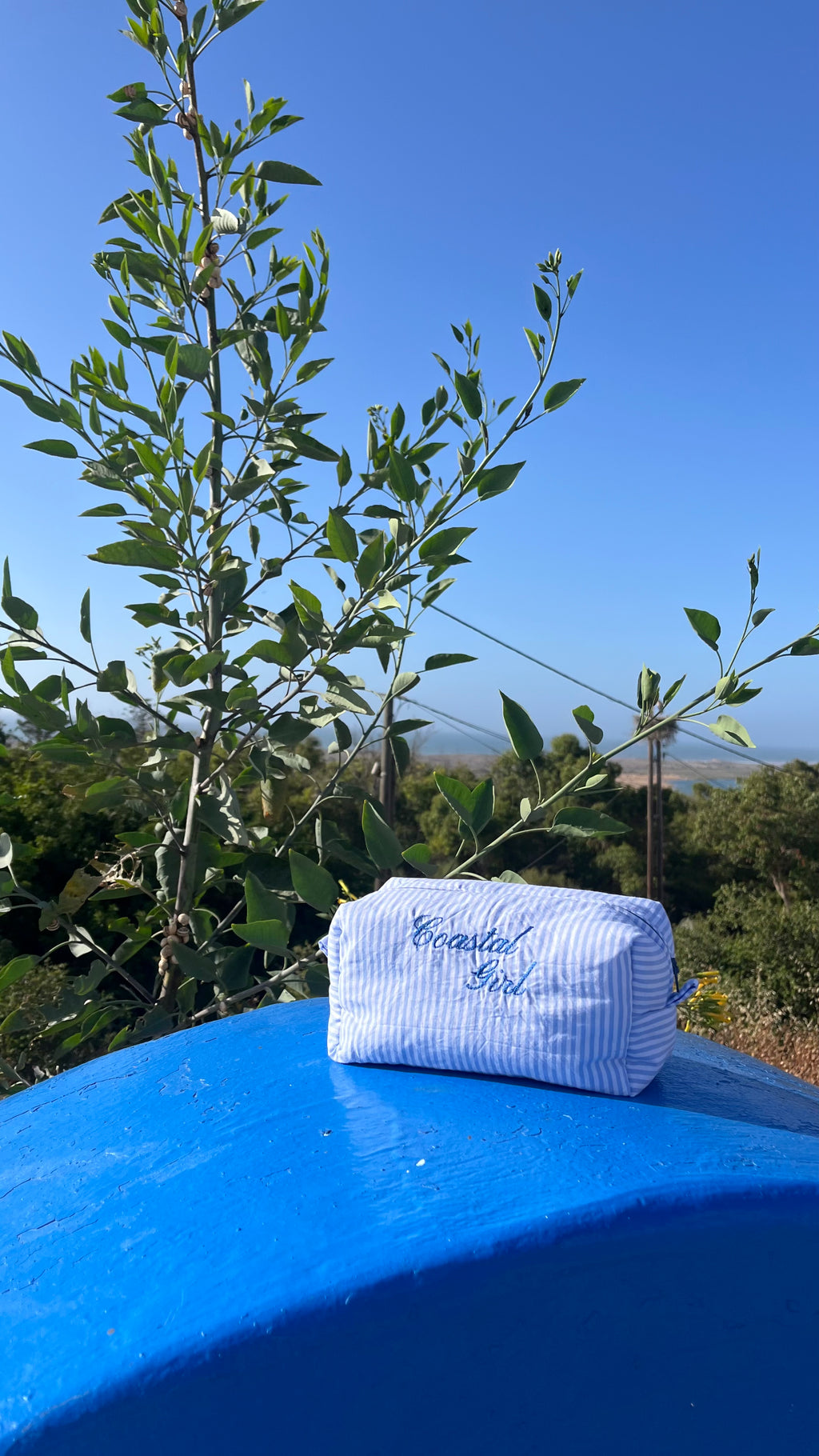 "Coastal Girl" blue striped pouch