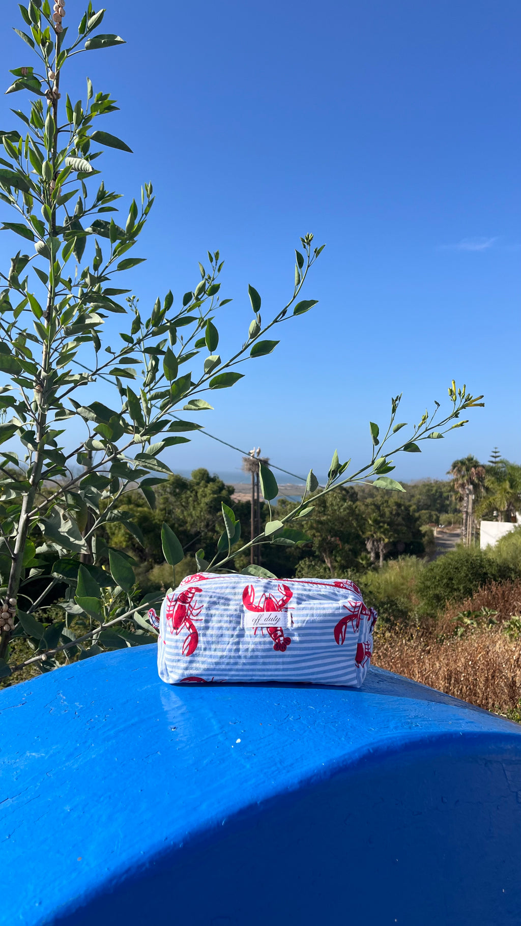 Lobster print pouch