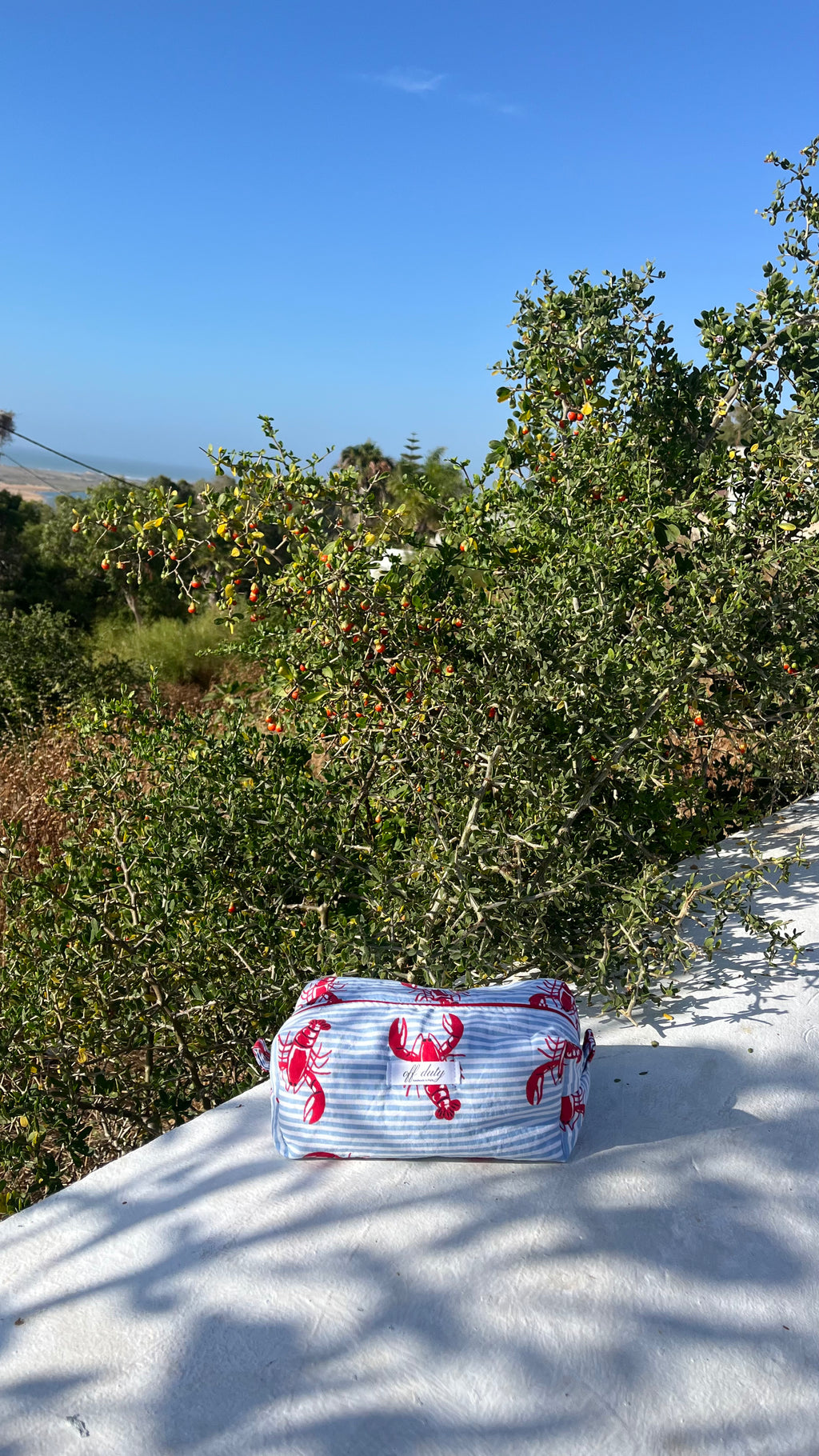 Lobster print pouch