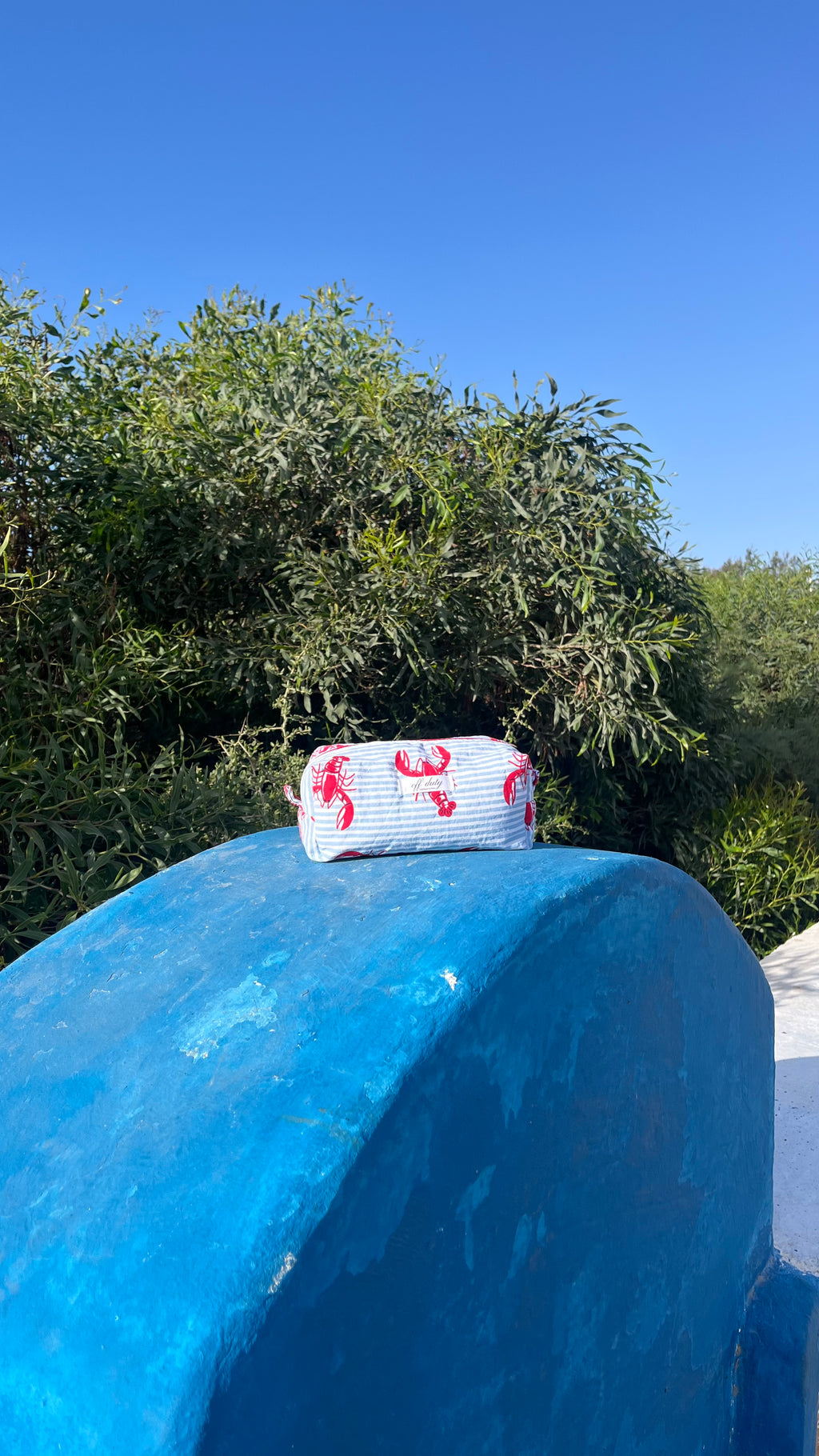 Lobster print pouch