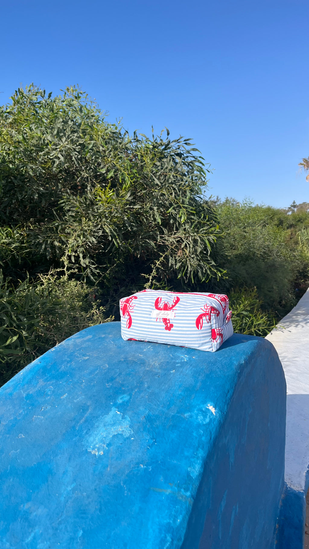 Lobster print pouch