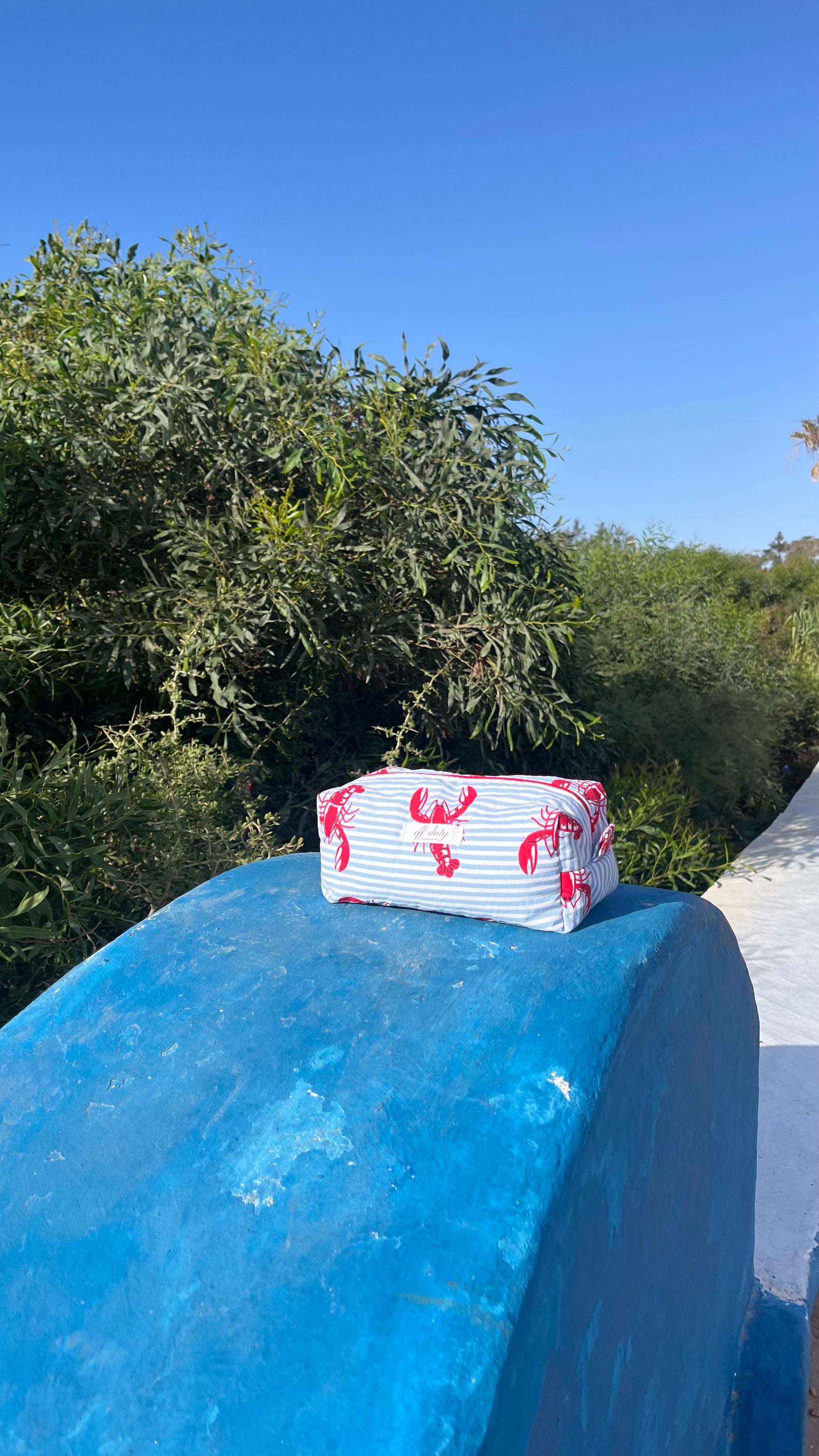 Lobster print pouch